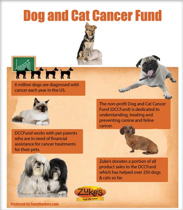 Dog_and_Cat_Cancer_FundWEB