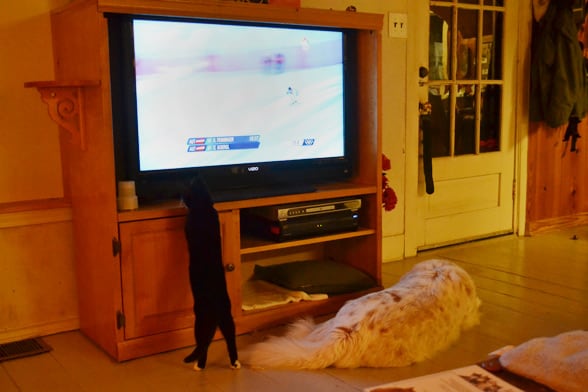 Watching the Olympics!