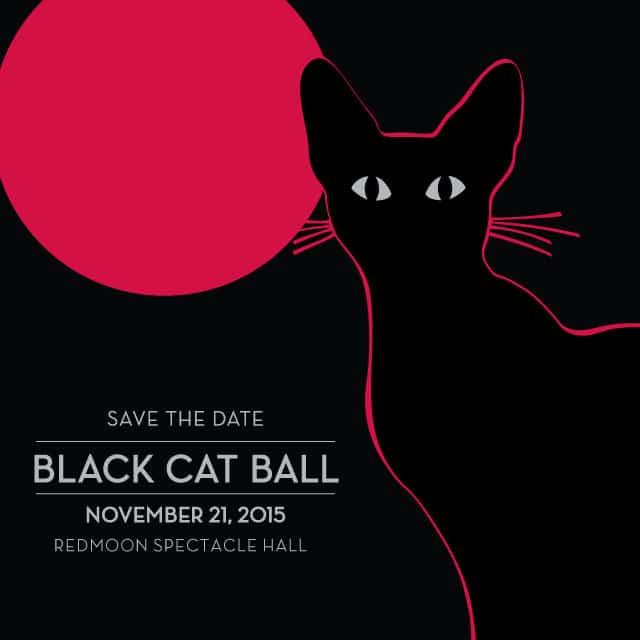 Black Cat Ball to Help Tree House Humane SocietyCatTipper