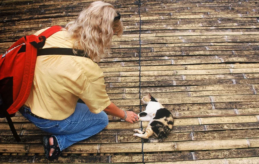 paris-cat-borneo-longhouse