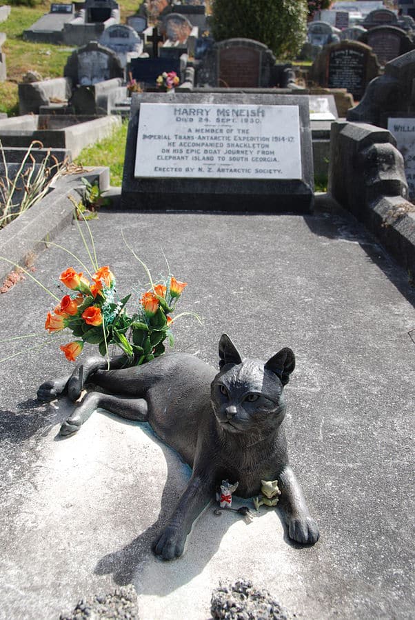 602px-harry_mcneish_gravestone_cat