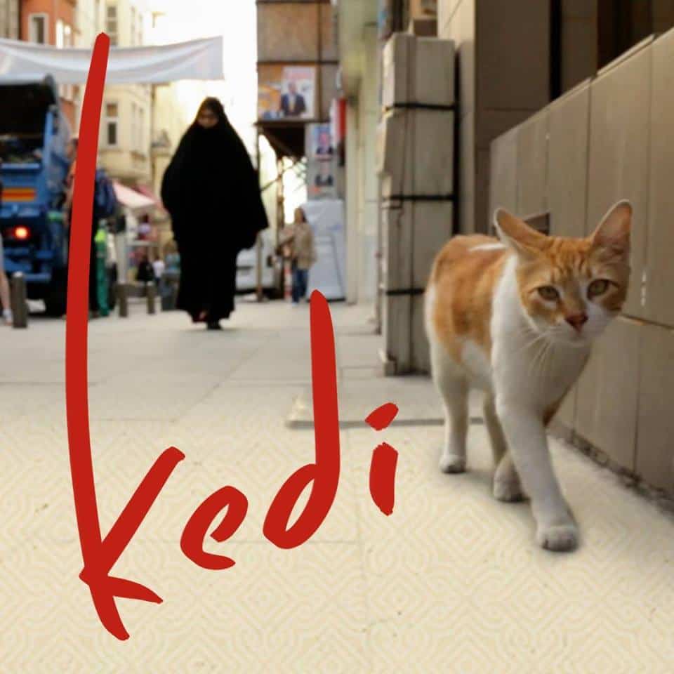Documentary �Kedi� Comes to YouTube RedCatTipper