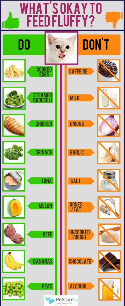 infographic-people-food-your-cat-can-eat-katzenworld-in-2020