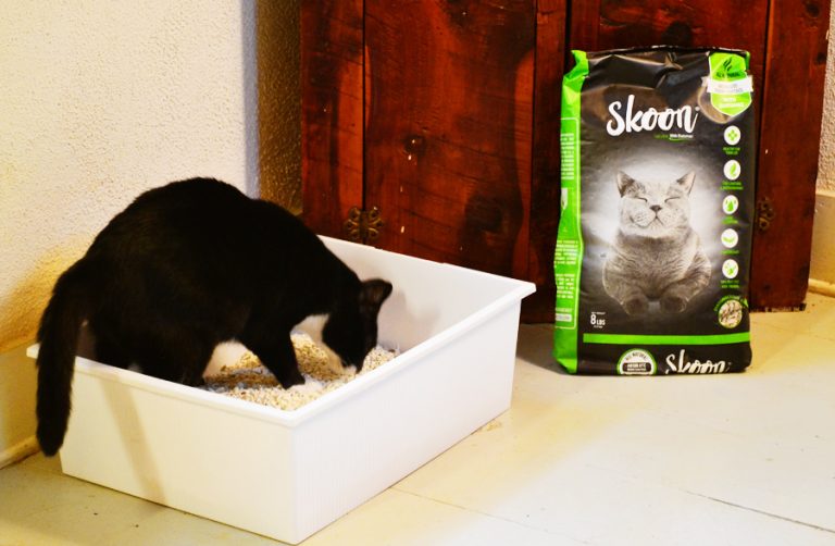 Skoon Cat Litter Review