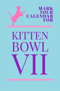 Kitten Bowl VII is Coming! - CatTipper