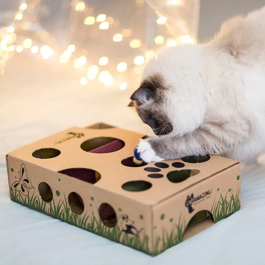 How to make a puzzle feeder for your cat 
