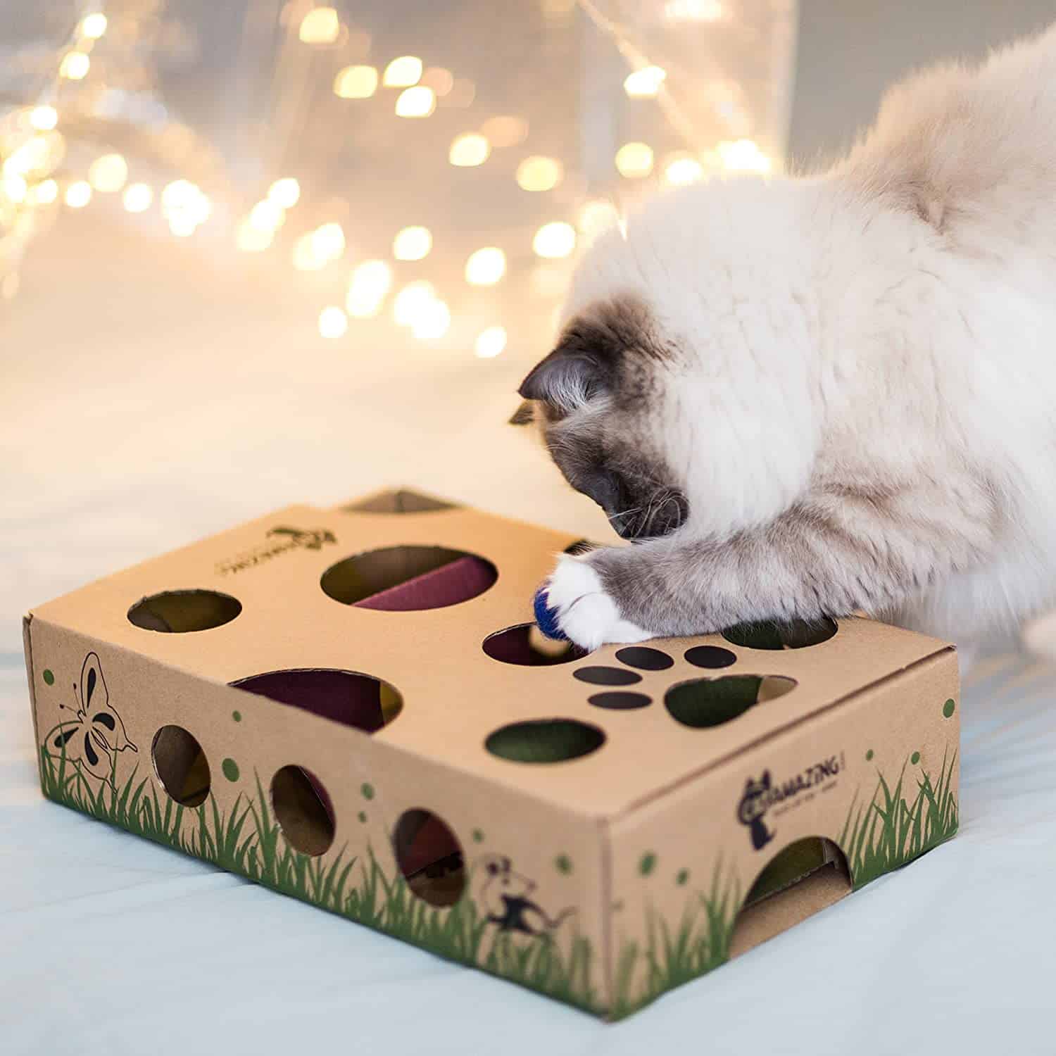 catit puzzle feeder