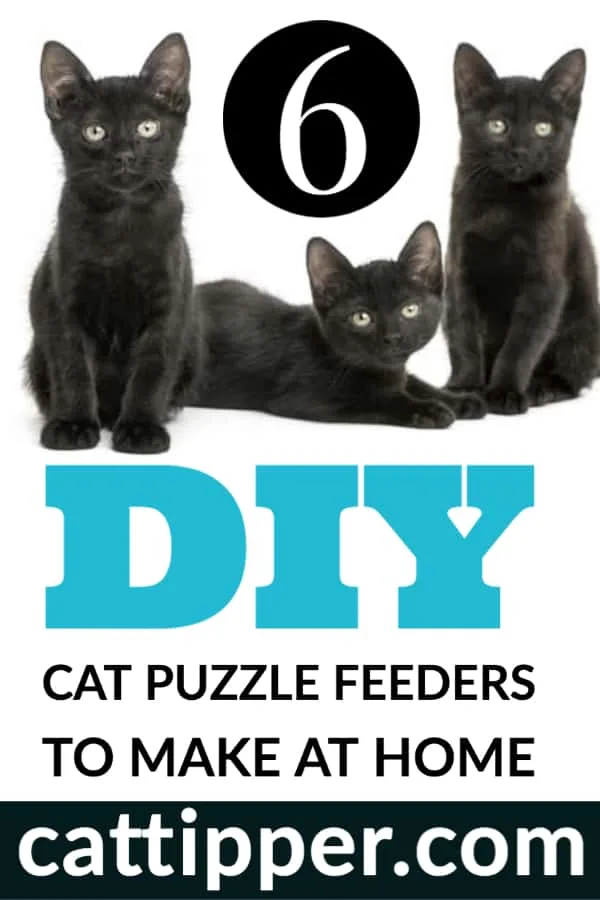 https://www.cattipper.com/wp-content/uploads/2020/05/diy-cat-puzzle-feeders.jpg.webp