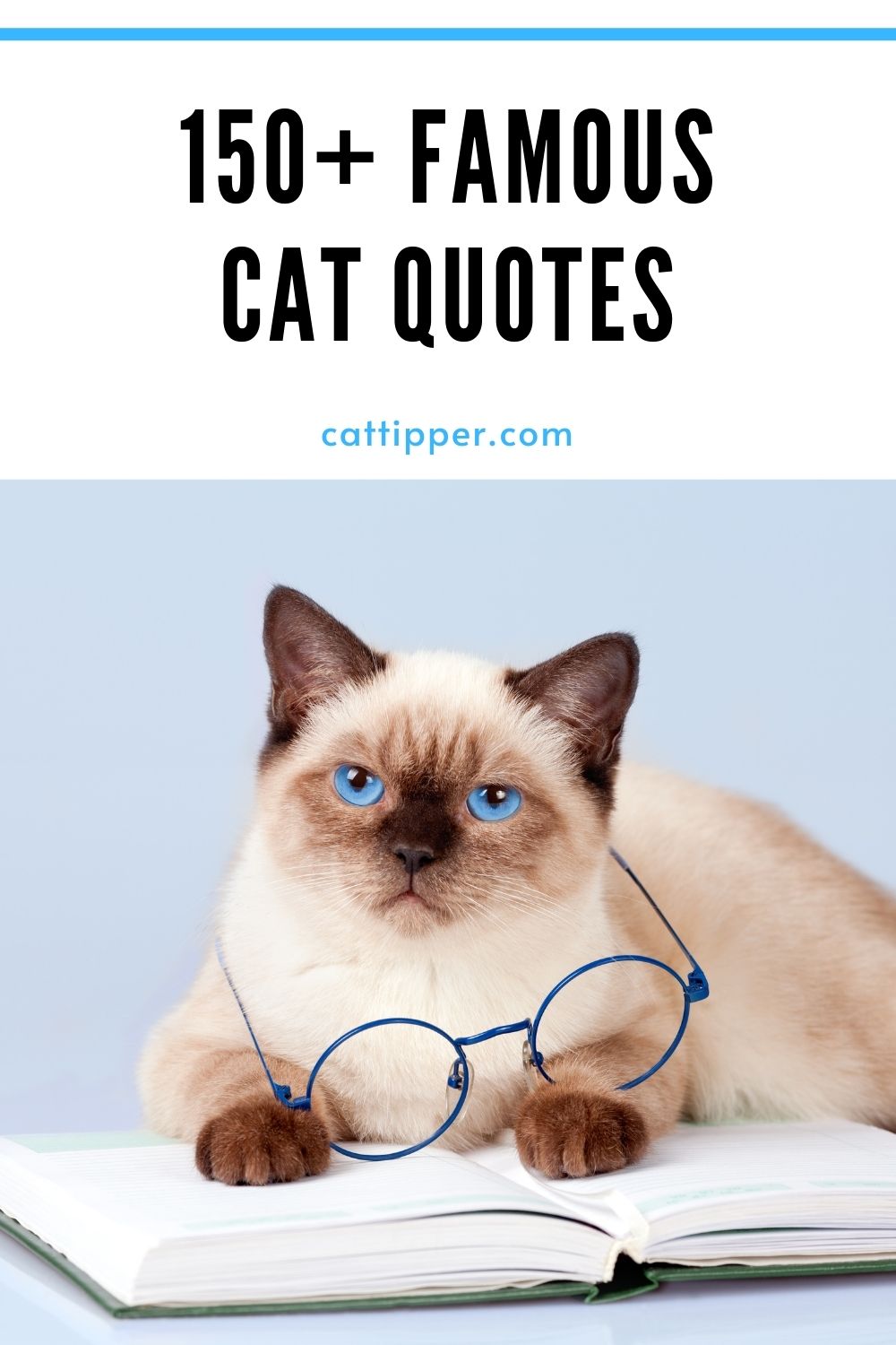 cat rescue quotes