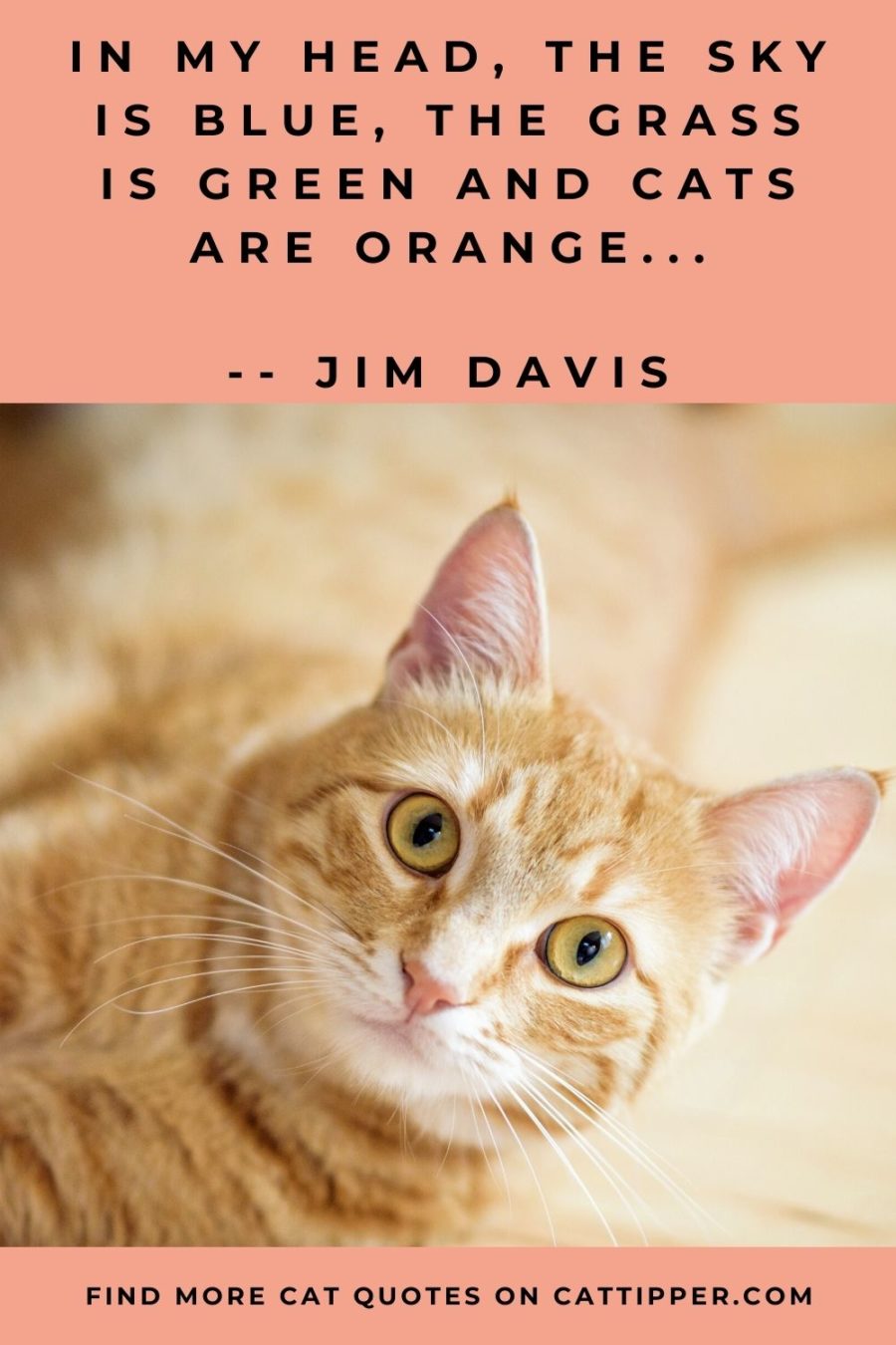 Orange Cat Quote 1 900x1350 