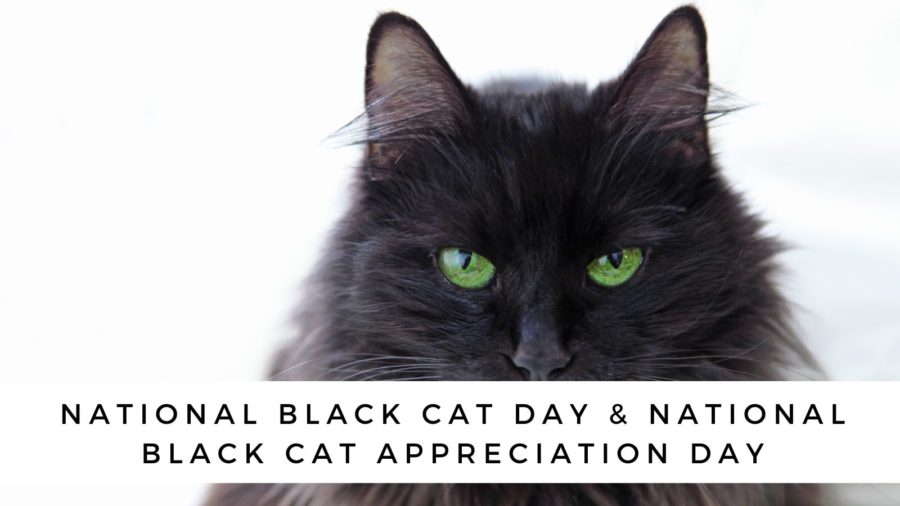 Wo Cats Icon Black. Logo. Day of Protection of Animals. the