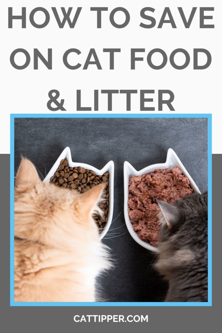 How to save money on cat food and cat supplies