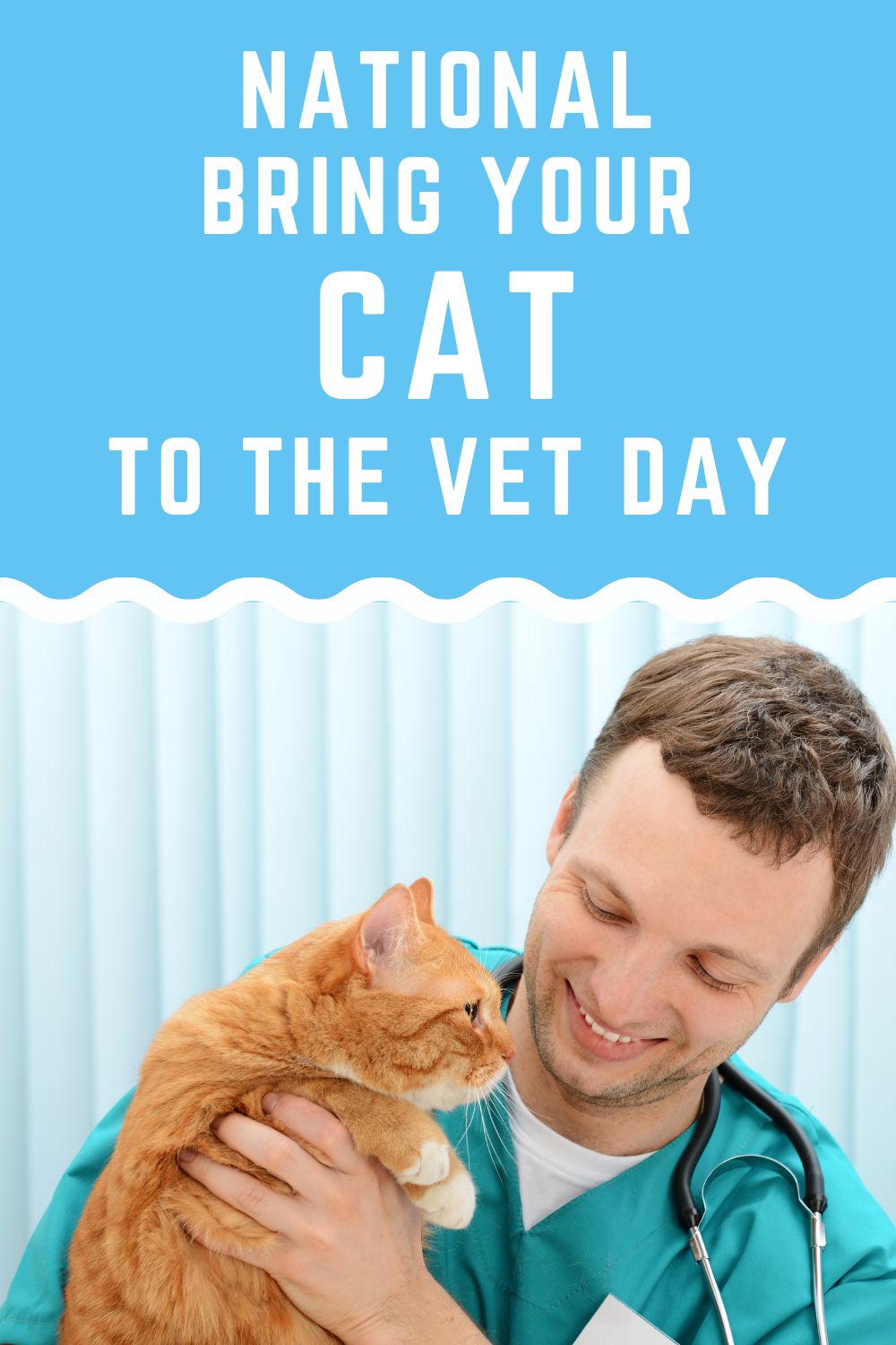 National Bring Your Cat to the Vet Day {Why Cats Are Lagging Behind Dogs!}