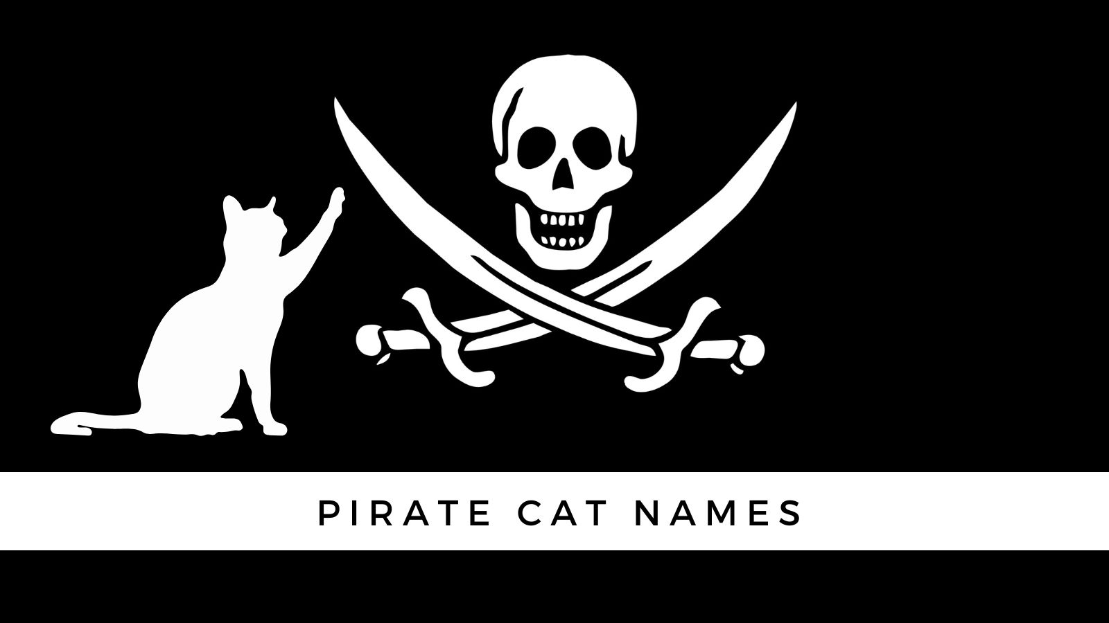 pirate flag cat