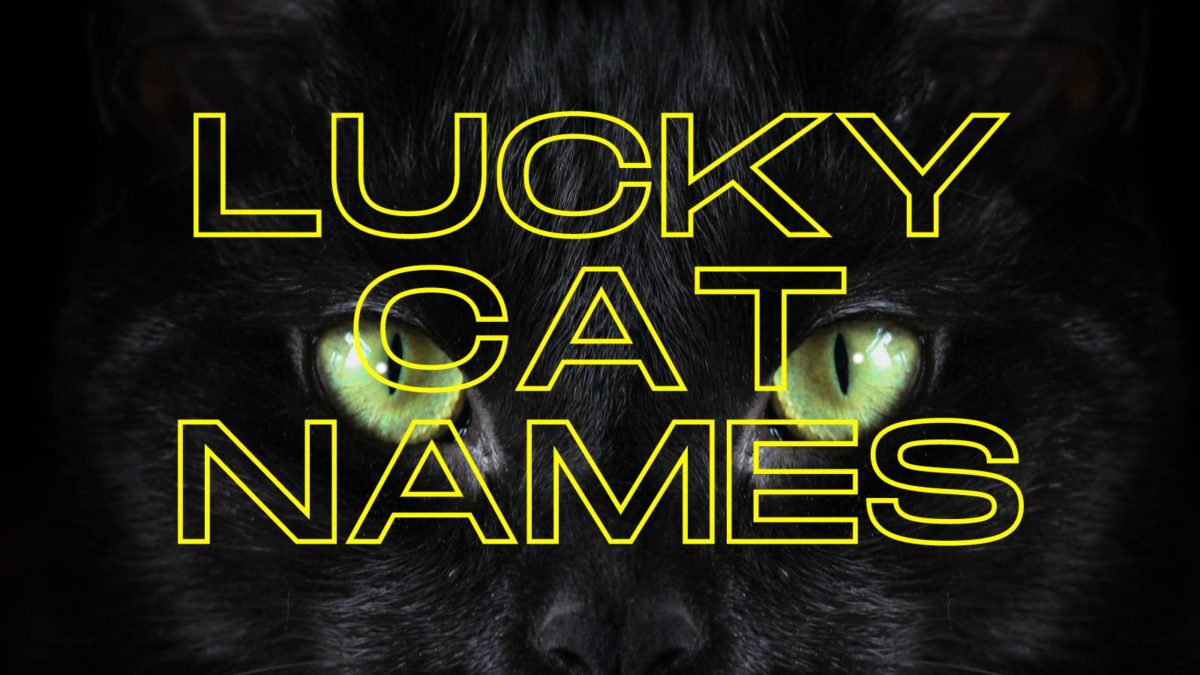 lucky-cat-names