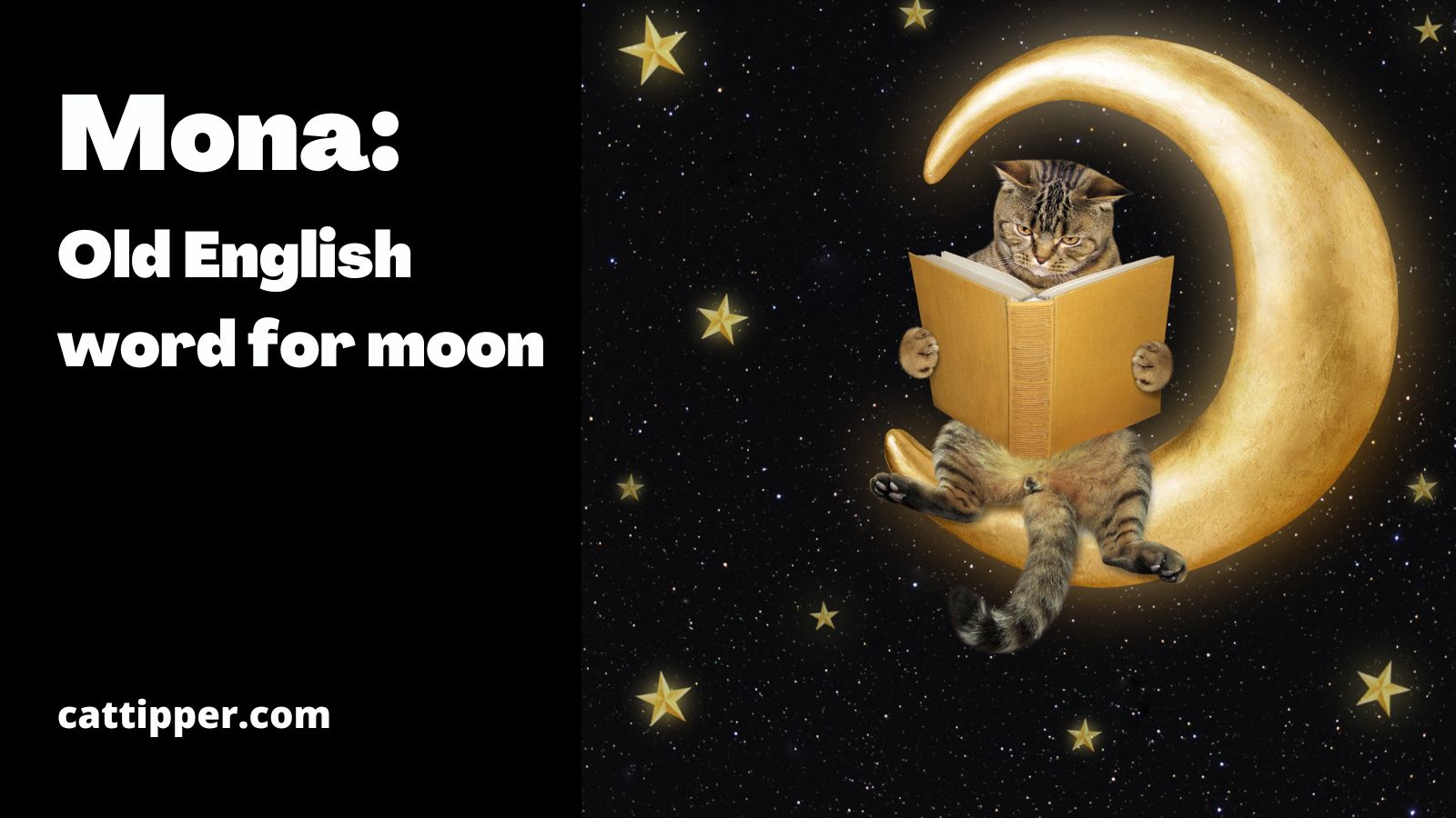 125-moon-names-for-cats-that-are-out-of-this-world