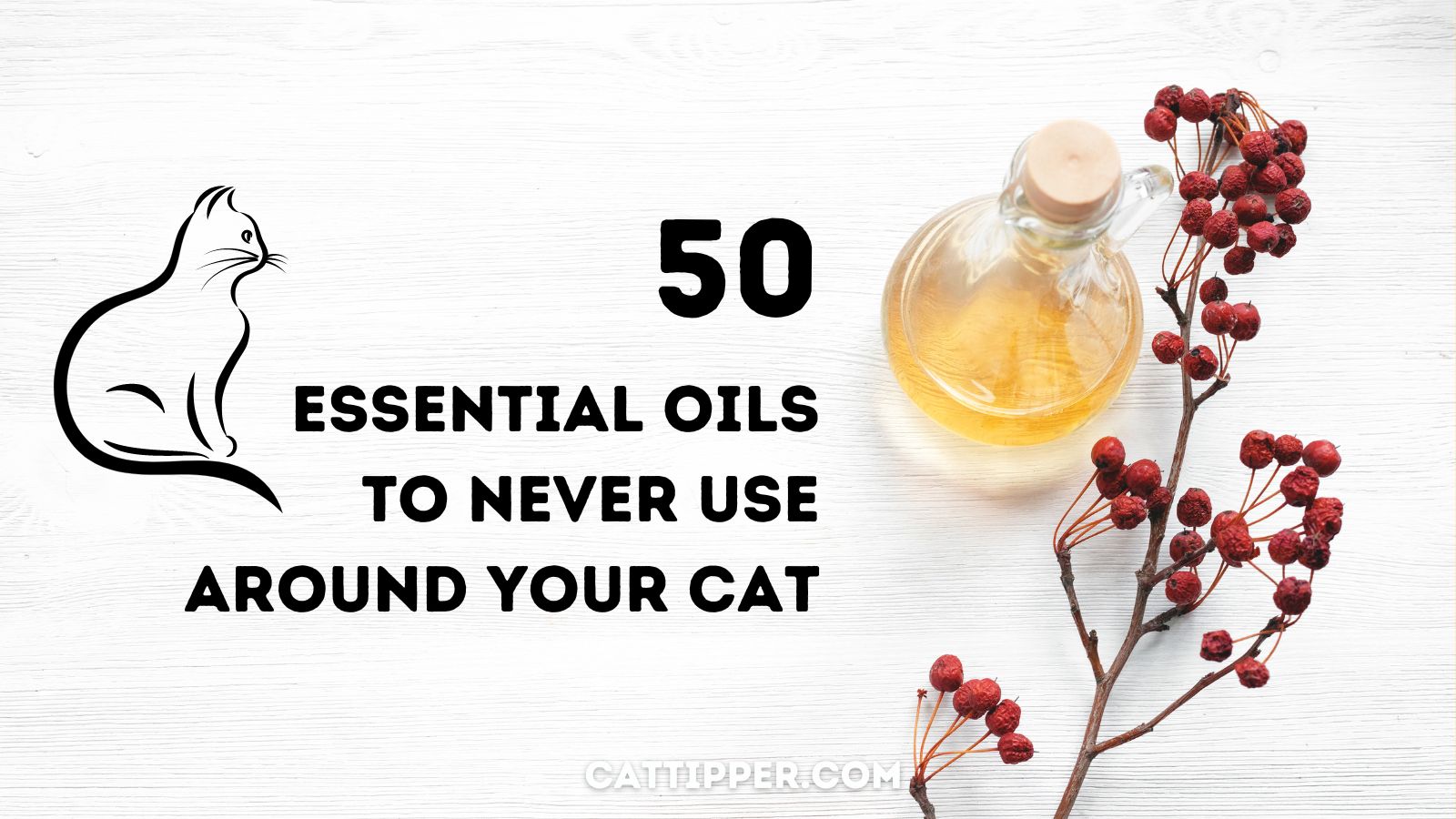 50+ Essential Oils to Avoid for Cats!