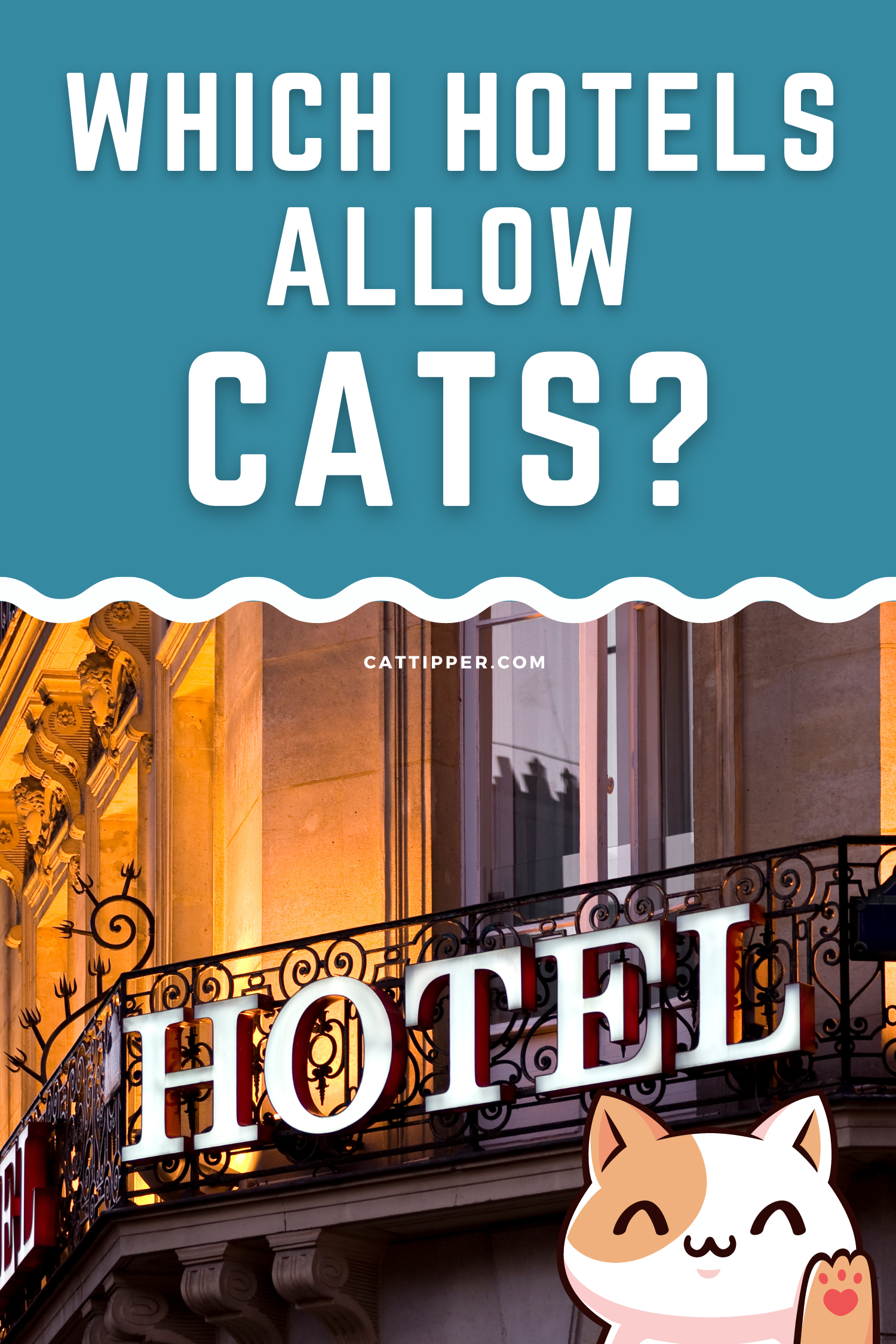 Pinterest Hotels Cats 