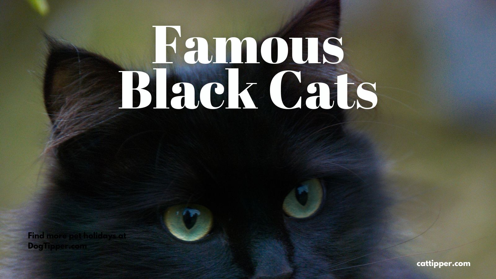 famous cartoon cats names