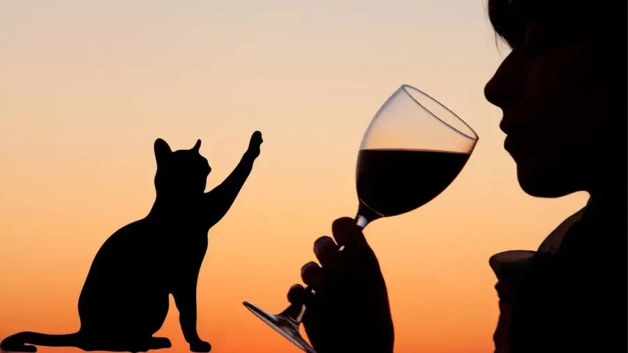 National Drink Wine with Your Cat Week