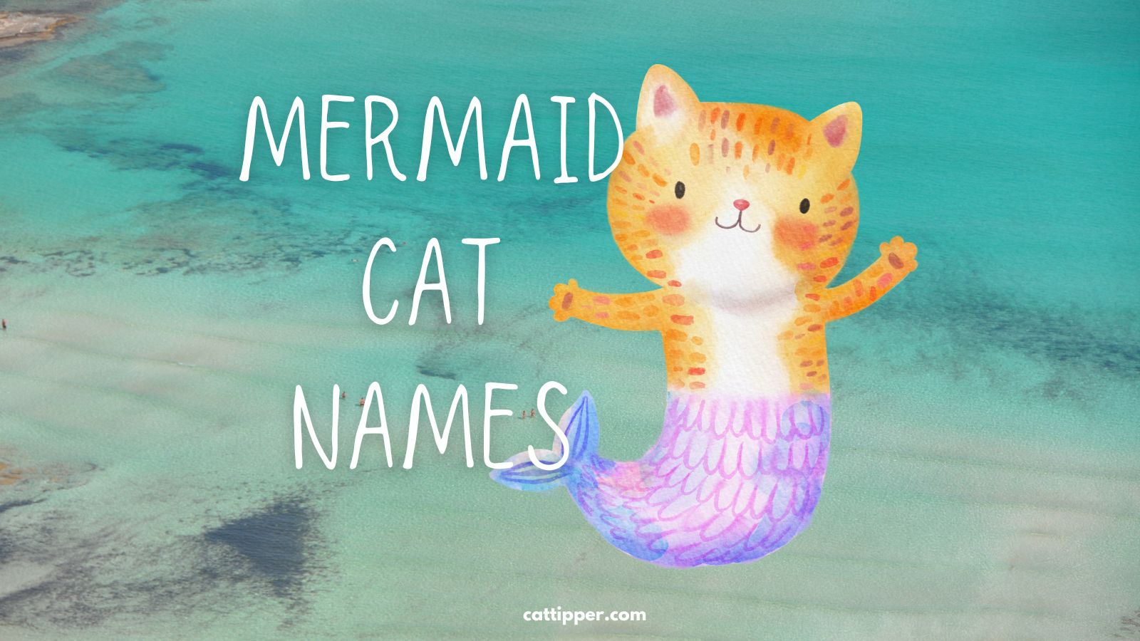 Mermaid Cat Names for Your New Feline Pal - worldpetinfo.com