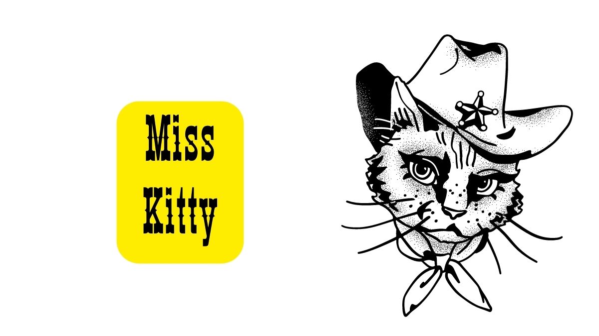 260-western-cat-names-for-your-new-pardner