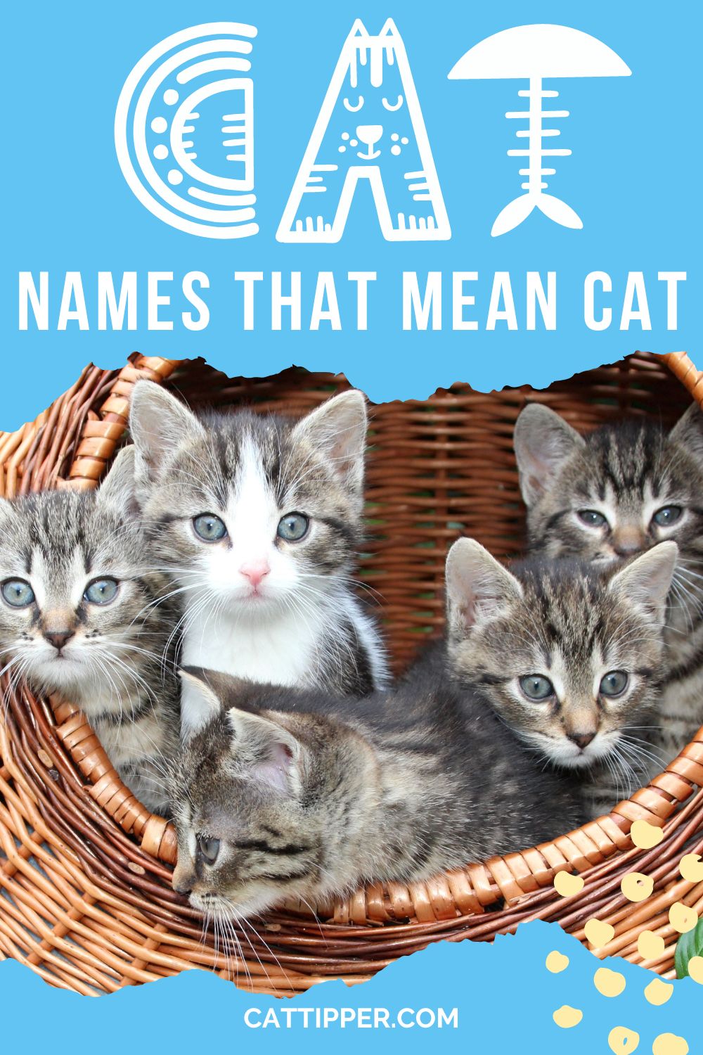 130-cat-names-that-mean-cat