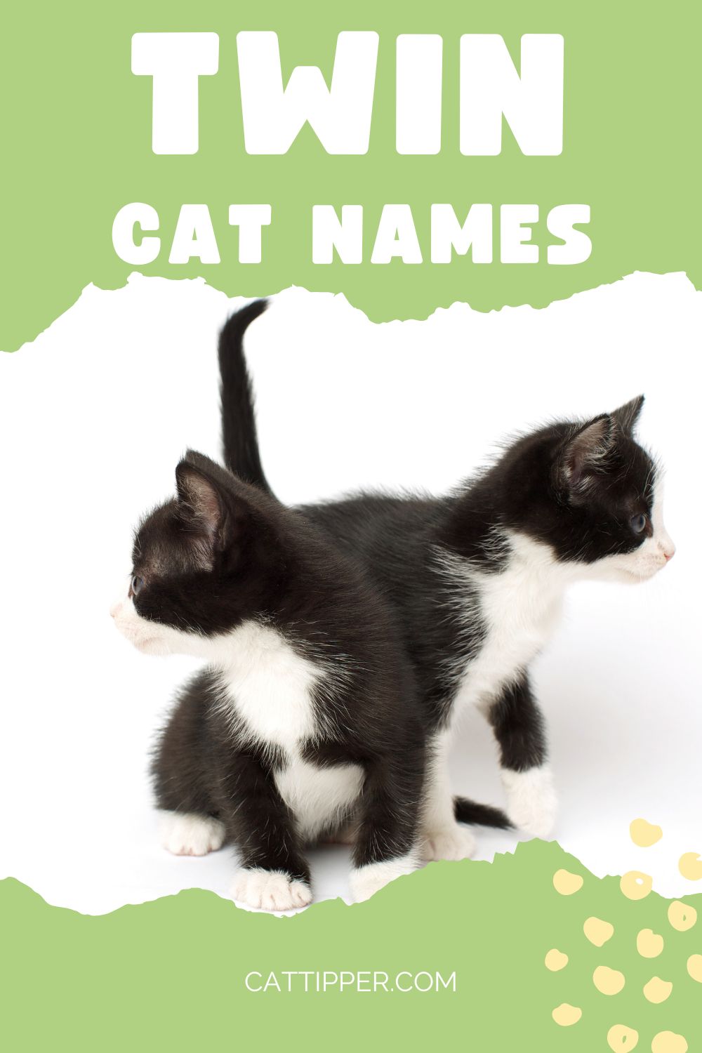 Unique Twin Cat Names Female