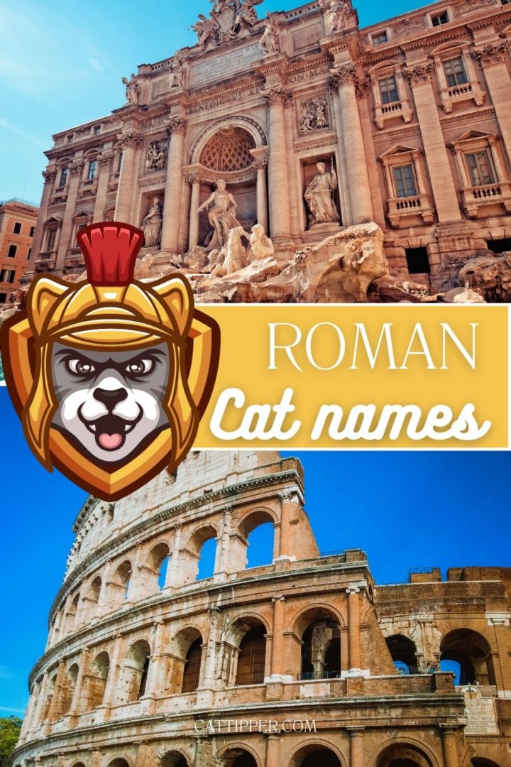 names-for-boy-cats-r