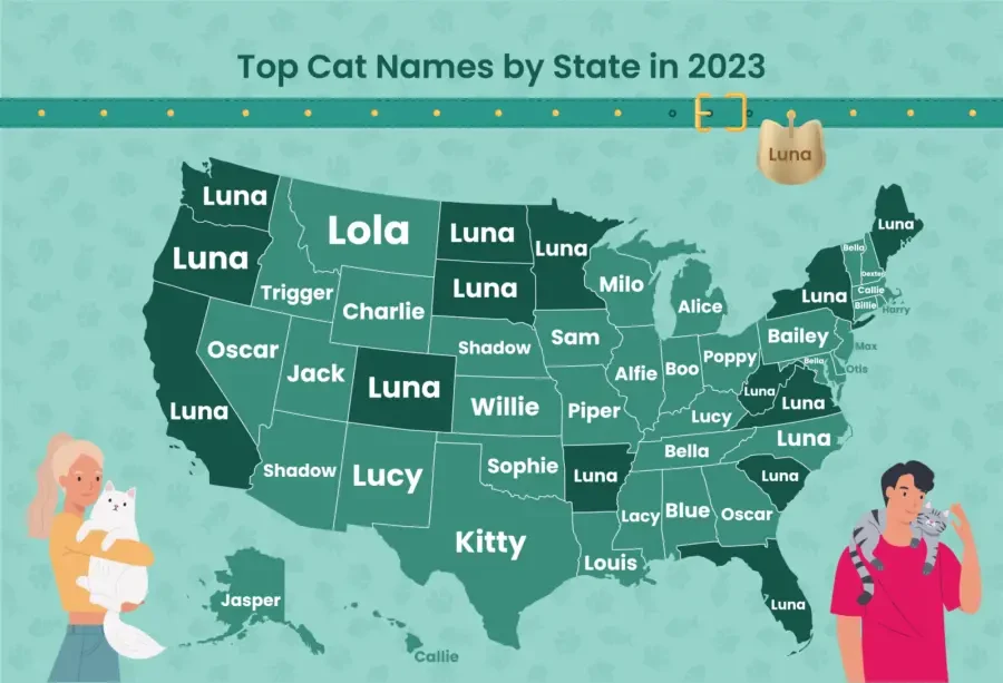 160 Irish Cat Names: Celtic Names from the Emerald Isle