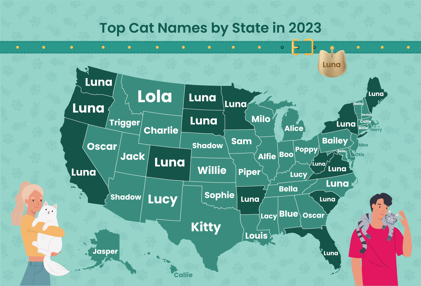 What are the Most Popular Cat Names?