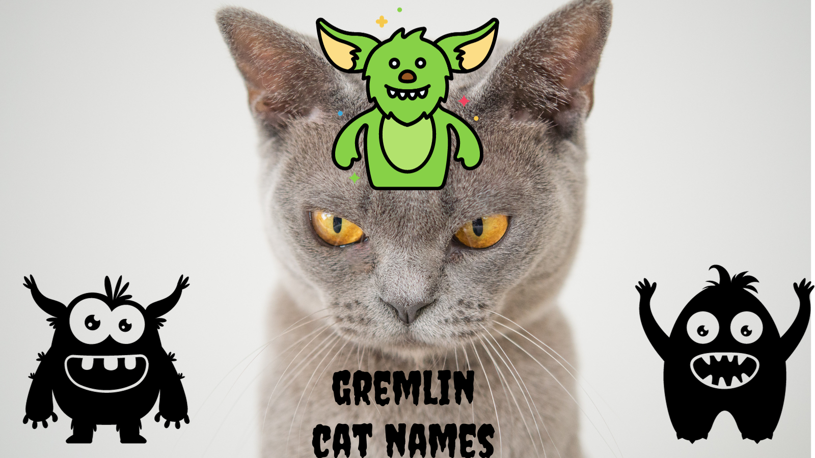 108 Gremlin Cat Names: From Mayhem to Movies