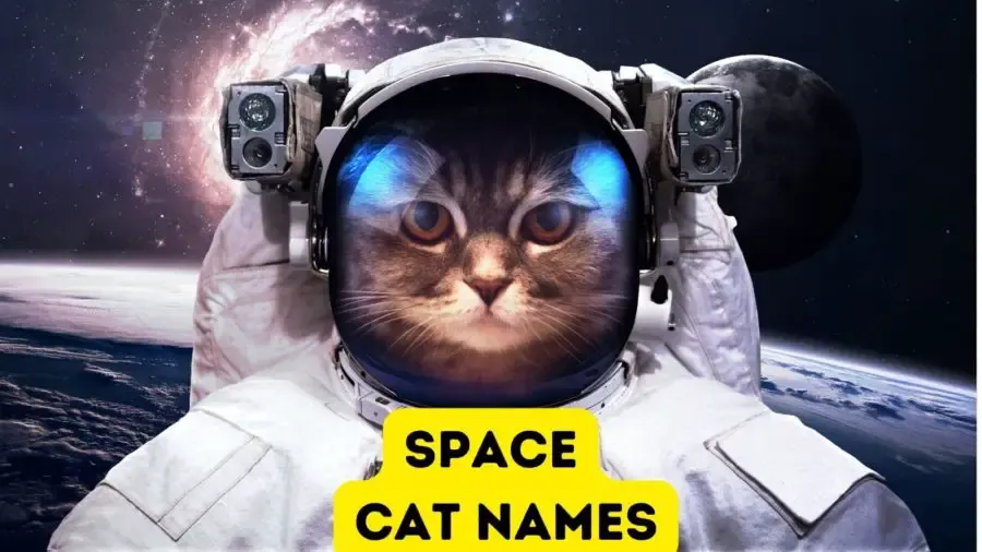 image of cat in astronaut suit with space background and words Space Cat Names at bottom of image