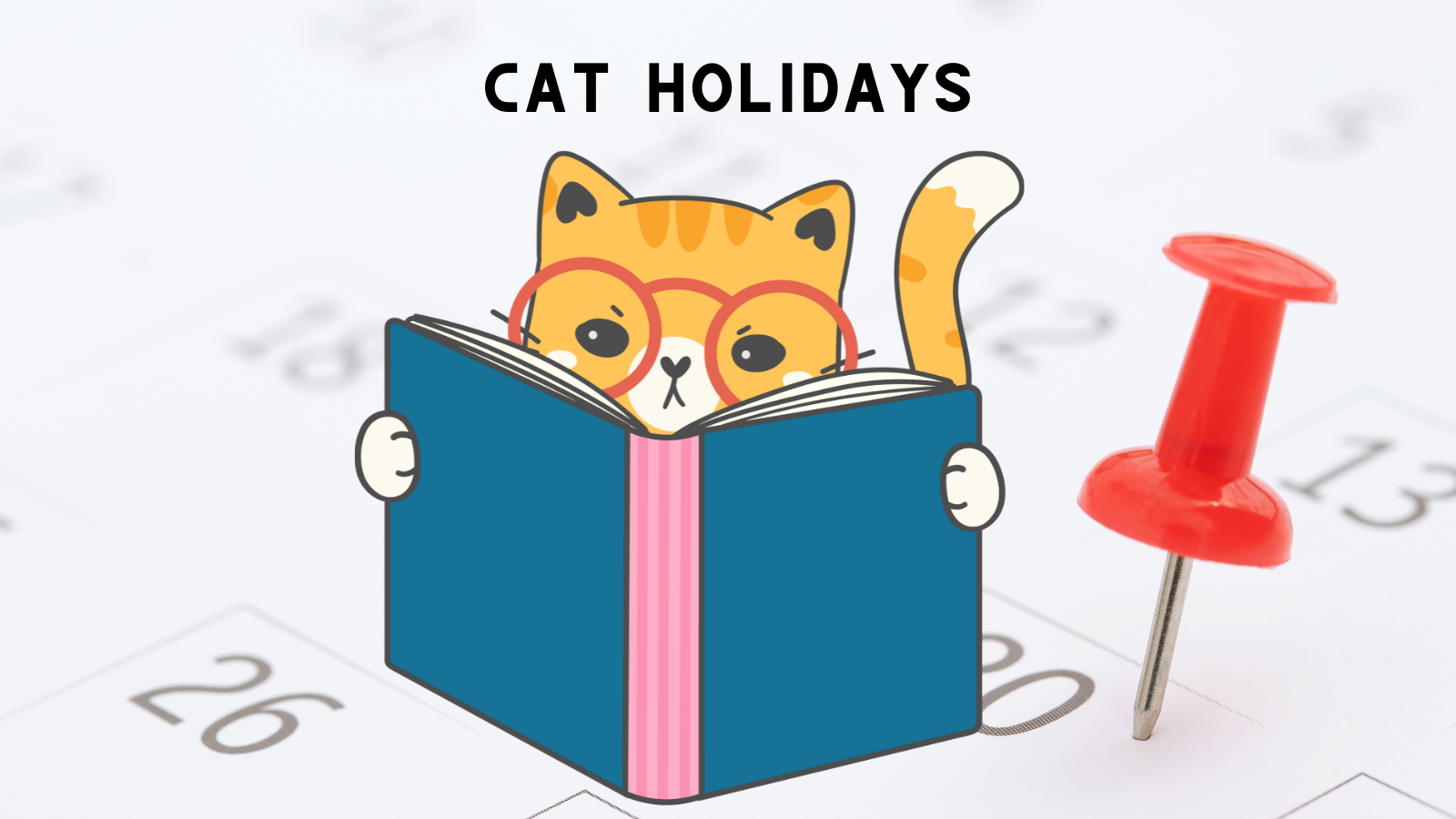2024 Cat Holidays & Special Observances 175 Holidays to Make You Purr!