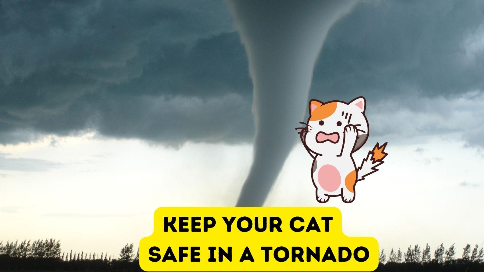 Protecting Your Dog In A Tornado