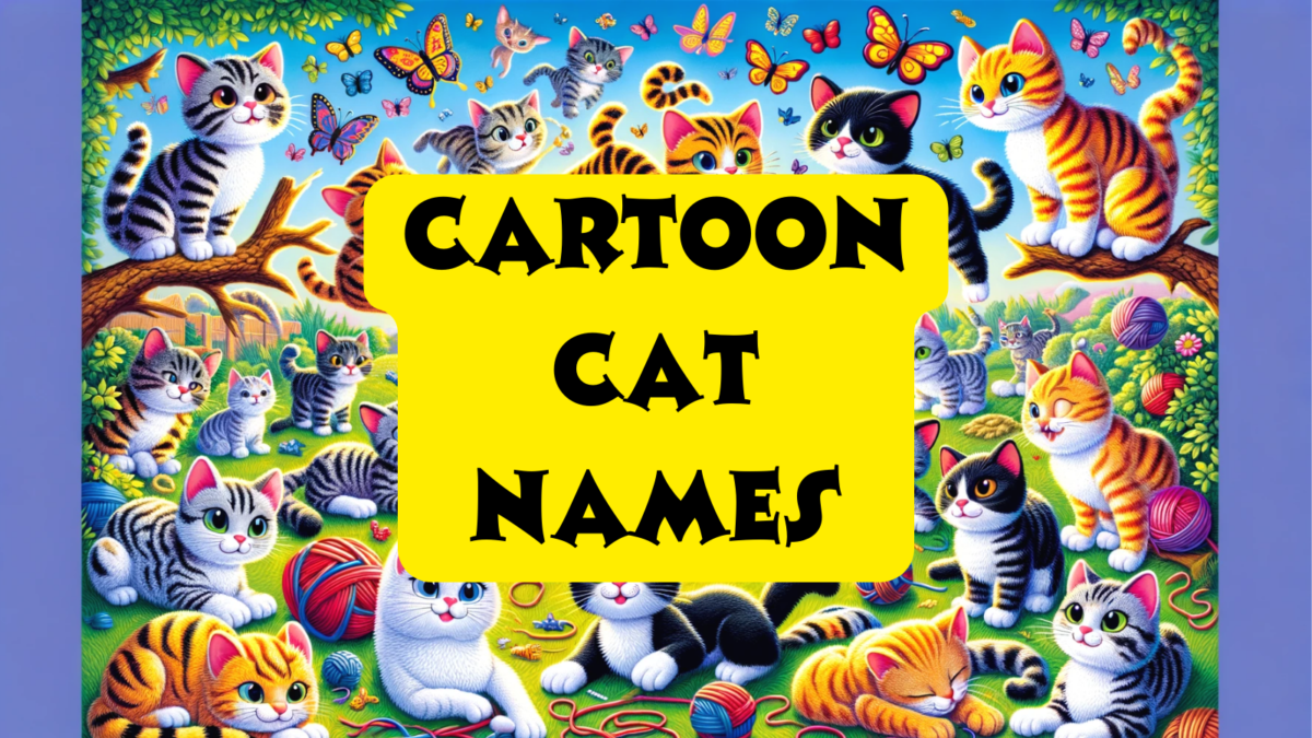 210+ Cartoon Cat Names