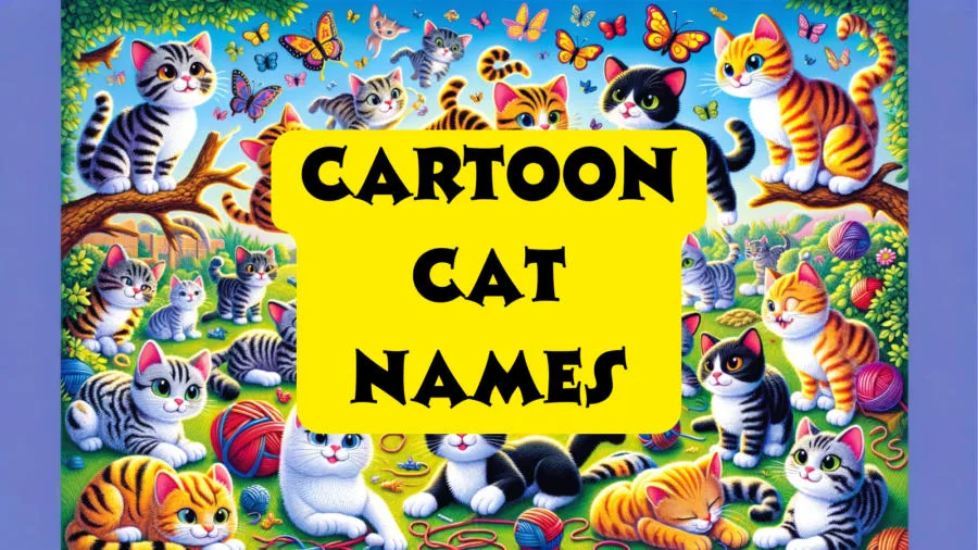 210-cartoon-cat-names-worldpetinfo