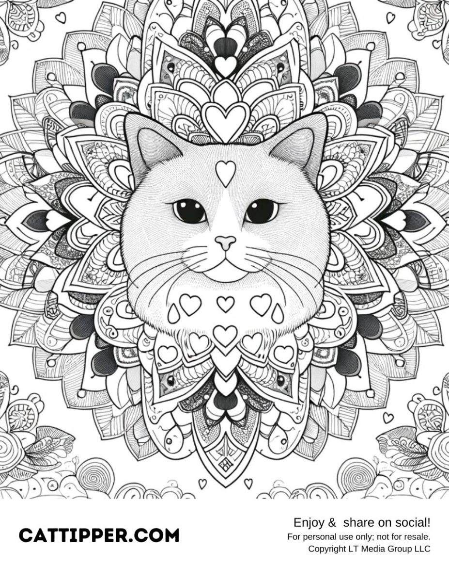 victorious-cat-valentine-coloring-pages-coloring-pages